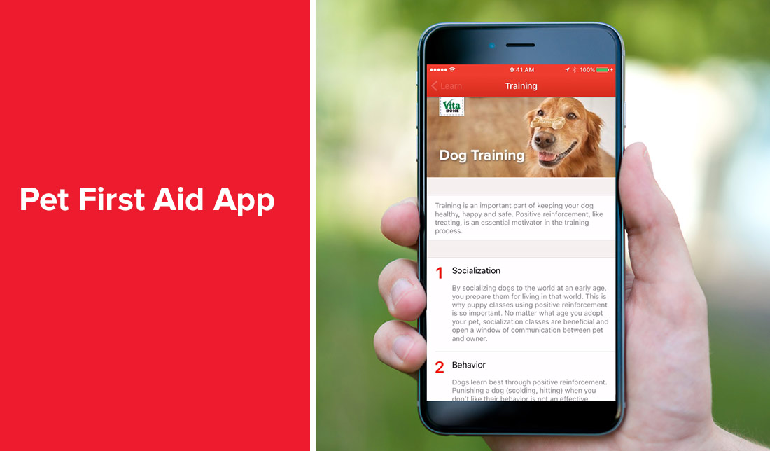 اپلیکیشن‌های مراقبت از حیوانات خانگی؛ Pet First Aid