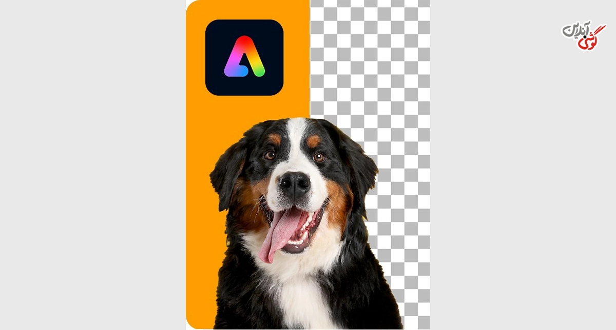 تصویری مرتبط با حذف پسزمینه عکس با هوش مصنوعی Adobe Express