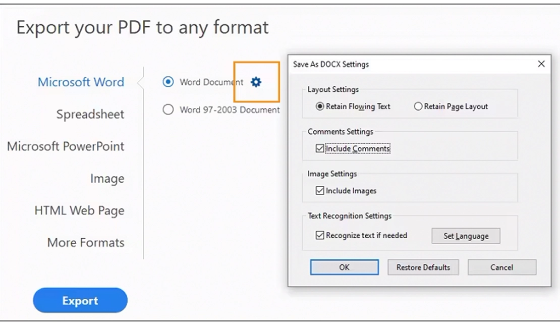 نمایشی از تنظیمات خروجی در یک برنامه برای تبدیل فایل pdf به word