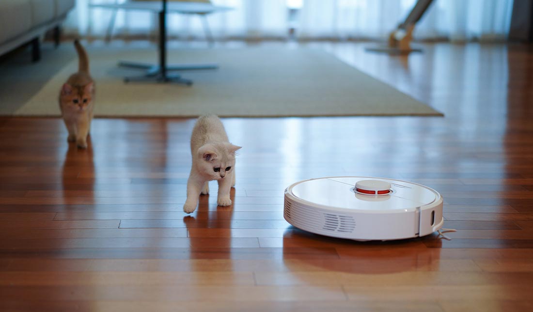 نمایش یک جاروبرقی رباتیک در کنار حیوانات خانگی