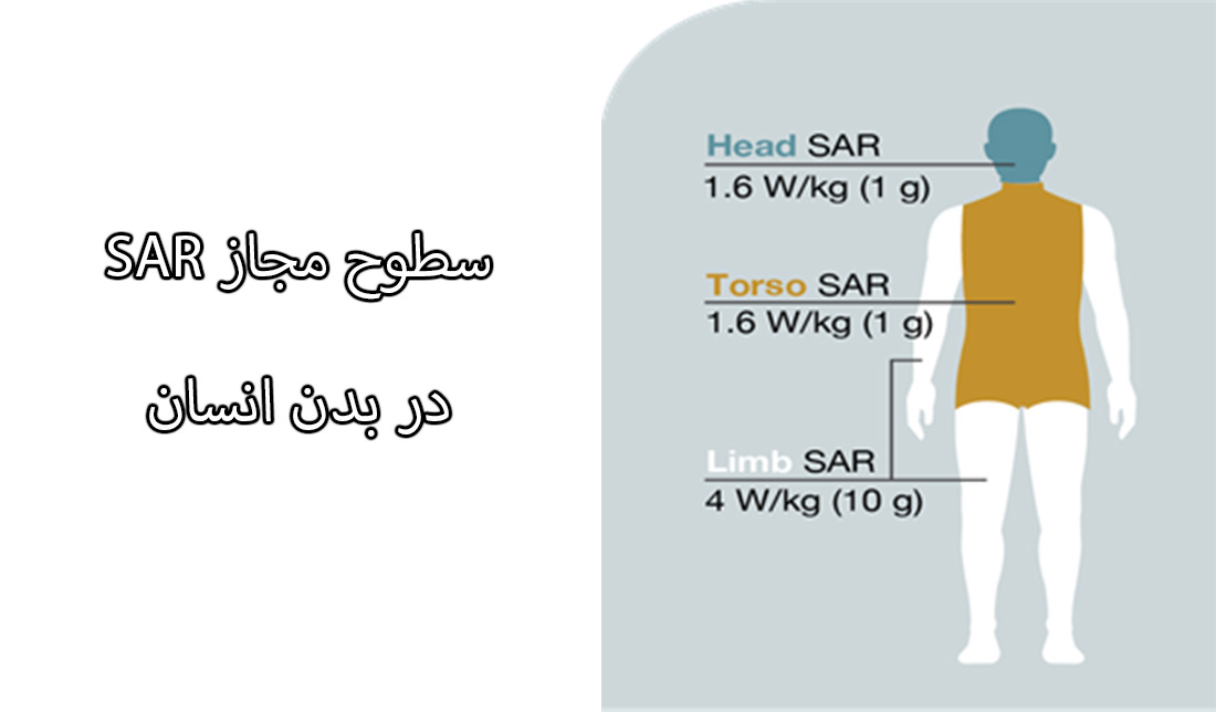 نمایش سطوح مجاز SAR در بدن انسان