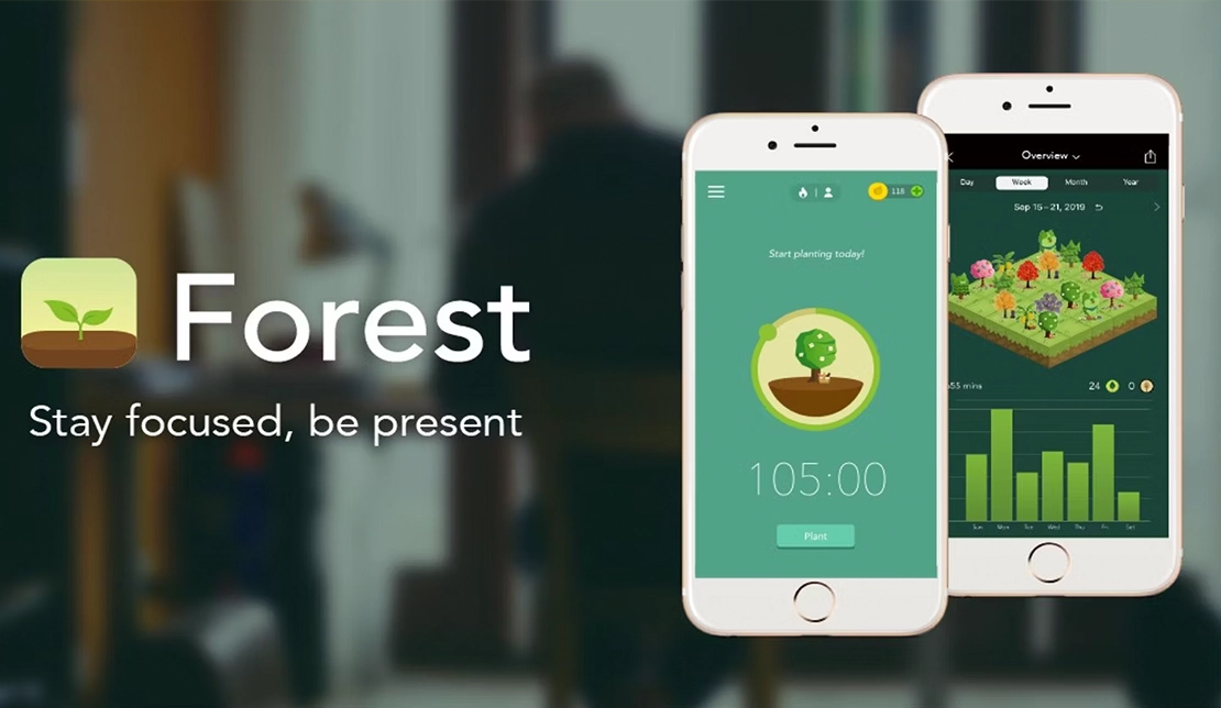 تصویری از اپلیکیشن افزایش تمرکز Forest