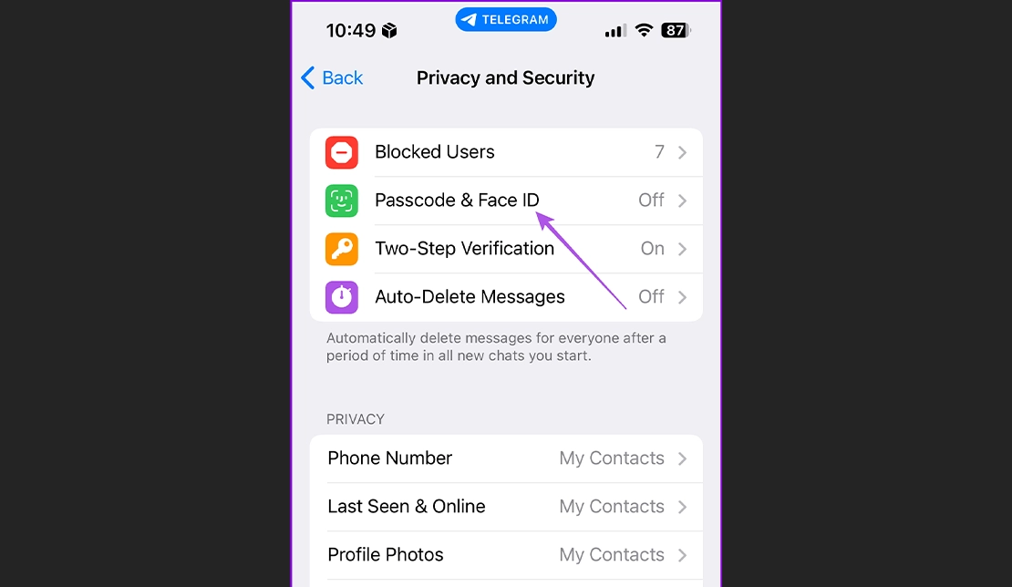 نمایش بخش حریم خصوصی در تلگرام در آیفون